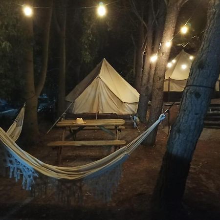 Bungalows Y Glamping Medina Sidonia מראה חיצוני תמונה