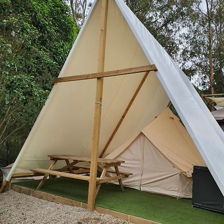 Bungalows Y Glamping Medina Sidonia מראה חיצוני תמונה