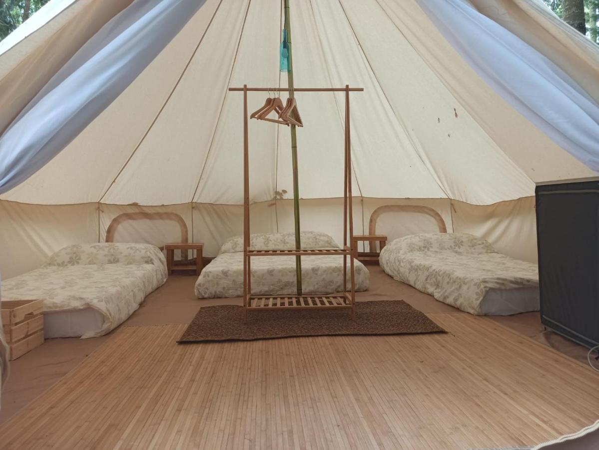 Bungalows Y Glamping Medina Sidonia מראה חיצוני תמונה