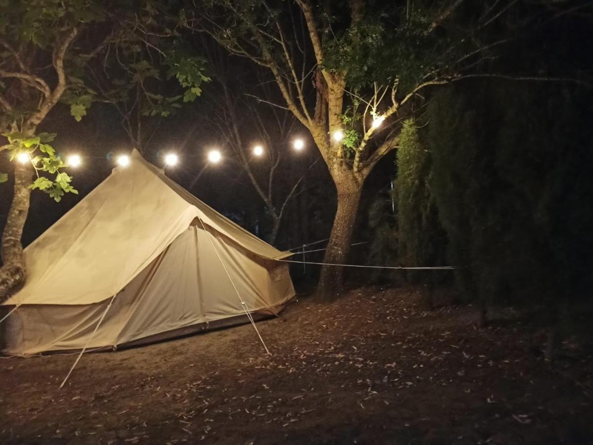Bungalows Y Glamping Medina Sidonia מראה חיצוני תמונה