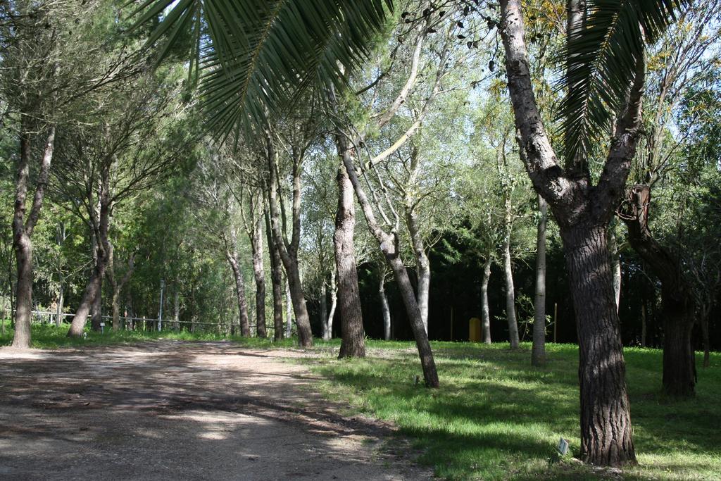 Bungalows Y Glamping Medina Sidonia מראה חיצוני תמונה